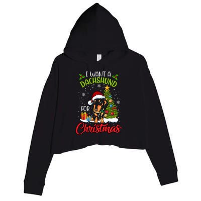 I Want A Dachshund For Christmas Xmas Hippo Gift Crop Fleece Hoodie