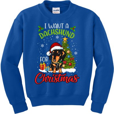 I Want A Dachshund For Christmas Xmas Hippo Gift Kids Sweatshirt