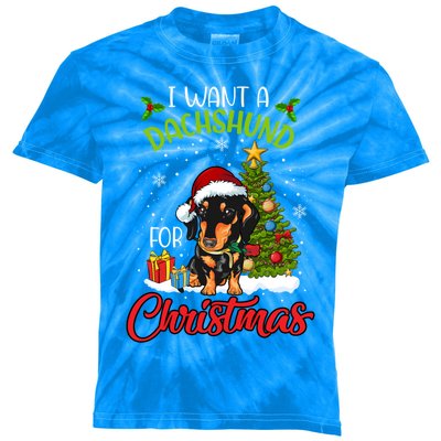 I Want A Dachshund For Christmas Xmas Hippo Gift Kids Tie-Dye T-Shirt