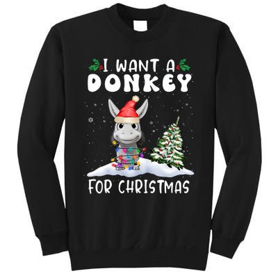 I Want A Donkey For Christmas Santa Hat Funny Xmas Sweatshirt