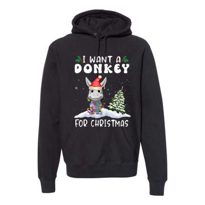 I Want A Donkey For Christmas Santa Hat Funny Xmas Premium Hoodie