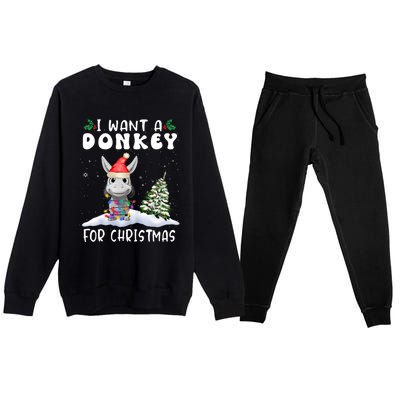 I Want A Donkey For Christmas Santa Hat Funny Xmas Premium Crewneck Sweatsuit Set