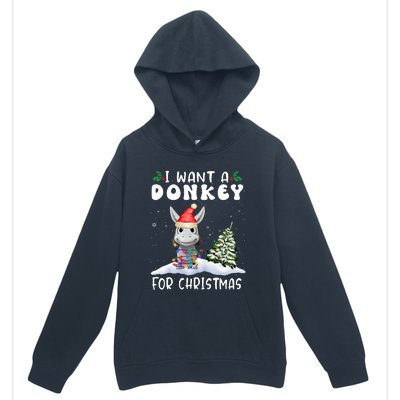 I Want A Donkey For Christmas Santa Hat Funny Xmas Urban Pullover Hoodie