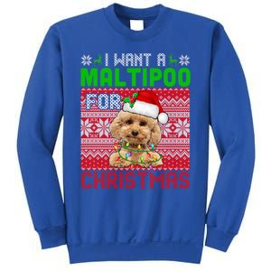 I Want A Maltipoo For Christmas Santa Dog Lover Owner Cool Gift Sweatshirt