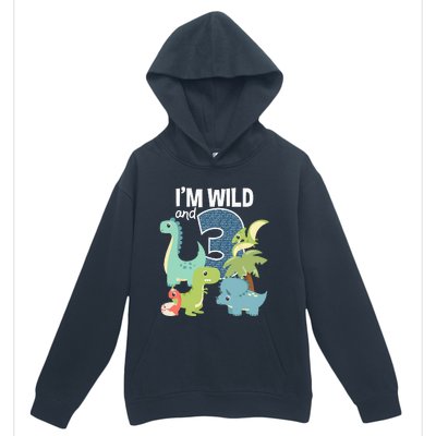 Im Wild And 3 Dinosaurs Theme Birthday Dinosaur Party Urban Pullover Hoodie