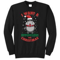 I Want A Hippopotamus For Christmas Xmas Lover Gift Tall Sweatshirt