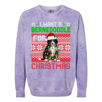 I Want A Bernedoodle For Christmas Santa Dog Lover Owner Gift Colorblast Crewneck Sweatshirt