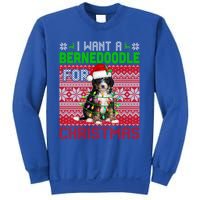 I Want A Bernedoodle For Christmas Santa Dog Lover Owner Gift Sweatshirt