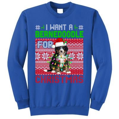 I Want A Bernedoodle For Christmas Santa Dog Lover Owner Gift Sweatshirt