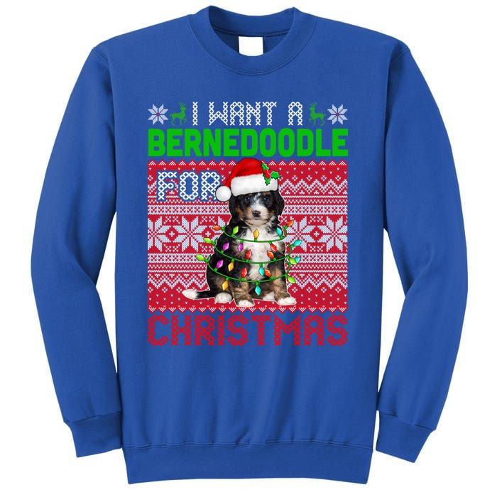 I Want A Bernedoodle For Christmas Santa Dog Lover Owner Gift Sweatshirt