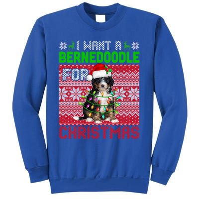 I Want A Bernedoodle For Christmas Santa Dog Lover Owner Gift Tall Sweatshirt