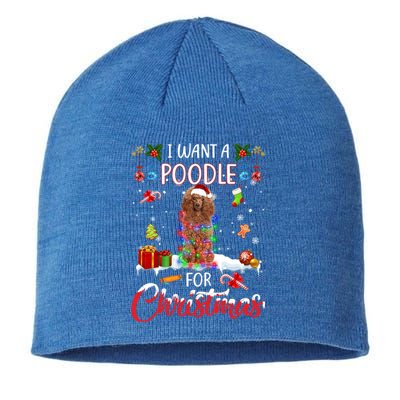 I Want A Poodle For Christmas Xmas Lights Santa Poodle Cool Gift Sustainable Beanie