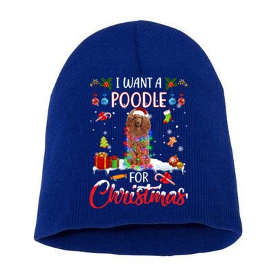 I Want A Poodle For Christmas Xmas Lights Santa Poodle Cool Gift Short Acrylic Beanie