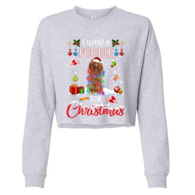 I Want A Poodle For Christmas Xmas Lights Santa Poodle Cool Gift Cropped Pullover Crew