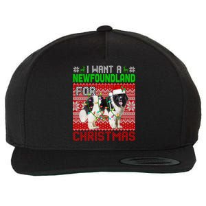 I Want A Newfoundland For Christmas Santa Dog Lover Owner Gift Wool Snapback Cap