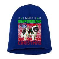 I Want A Newfoundland For Christmas Santa Dog Lover Owner Gift Short Acrylic Beanie