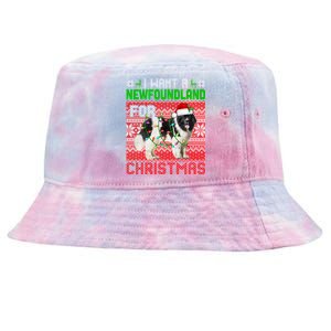 I Want A Newfoundland For Christmas Santa Dog Lover Owner Gift Tie-Dyed Bucket Hat