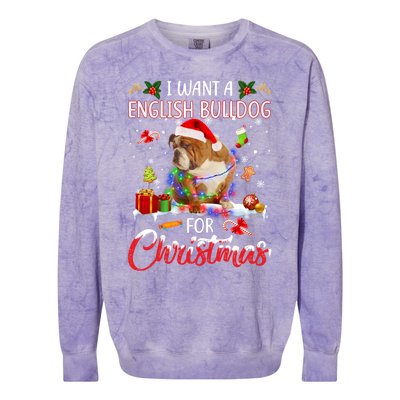 I Want A English Bulldog For Christmas Xmas Lights Santa Gift Colorblast Crewneck Sweatshirt