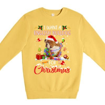 I Want A English Bulldog For Christmas Xmas Lights Santa Gift Premium Crewneck Sweatshirt