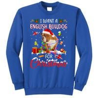 I Want A English Bulldog For Christmas Xmas Lights Santa Gift Sweatshirt