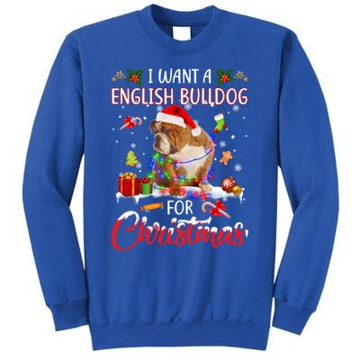 I Want A English Bulldog For Christmas Xmas Lights Santa Gift Tall Sweatshirt