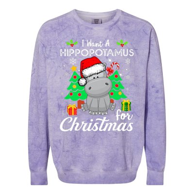 I Want A Hippopotamus For Christmas Xmas Hippo Pajama Colorblast Crewneck Sweatshirt