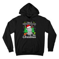 I Want A Hippopotamus For Christmas Xmas Hippo Pajama Hoodie