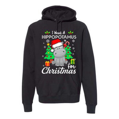 I Want A Hippopotamus For Christmas Xmas Hippo Pajama Premium Hoodie