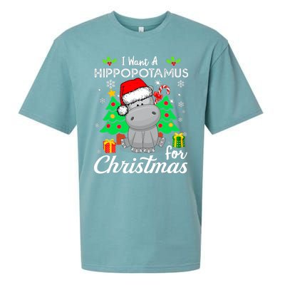 I Want A Hippopotamus For Christmas Xmas Hippo Pajama Sueded Cloud Jersey T-Shirt