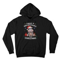 I Want A Hippopotamus For Christmas Xmas Lover Funny Hoodie