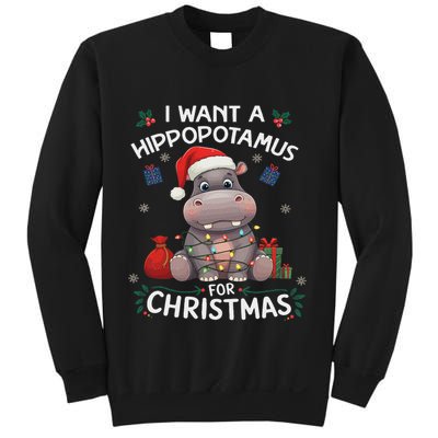 I Want A Hippopotamus For Christmas Xmas Lover Funny Sweatshirt