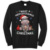 I Want A Hippopotamus For Christmas Xmas Lover Funny Sweatshirt