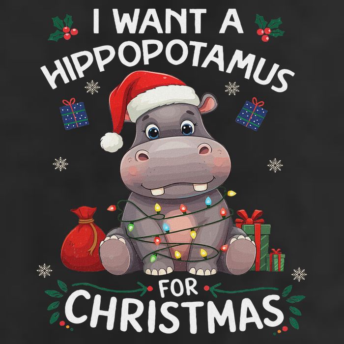 I Want A Hippopotamus For Christmas Xmas Lover Funny 11oz C Handle Ceramic Mug