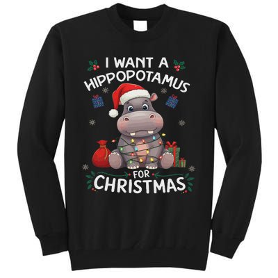 I Want A Hippopotamus For Christmas Xmas Lover Funny Tall Sweatshirt