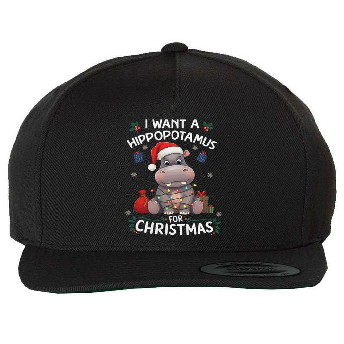 I Want A Hippopotamus For Christmas Xmas Lover Funny Wool Snapback Cap