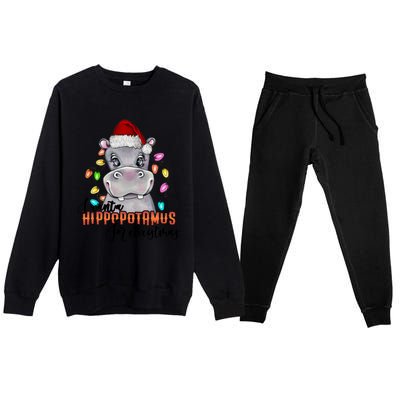 I Want A Hippopotamus For Christmas Funny Hippo Cute Gift Premium Crewneck Sweatsuit Set