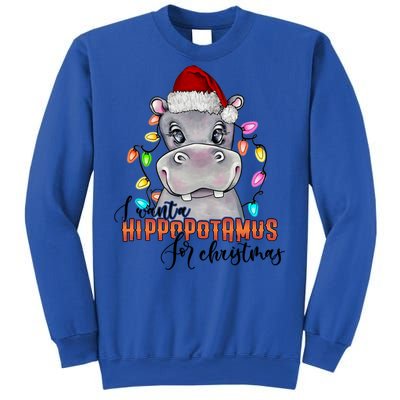 I Want A Hippopotamus For Christmas Funny Hippo Cute Gift Sweatshirt