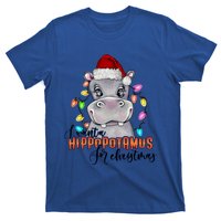 I Want A Hippopotamus For Christmas Funny Hippo Cute Gift T-Shirt