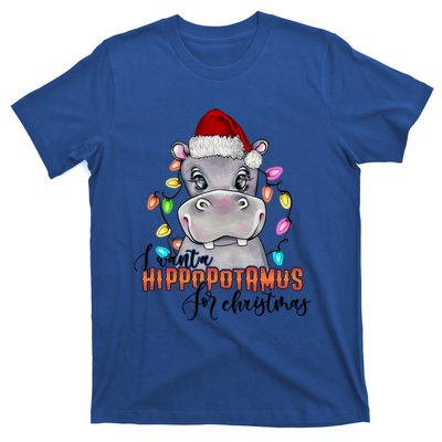 I Want A Hippopotamus For Christmas Funny Hippo Cute Gift T-Shirt