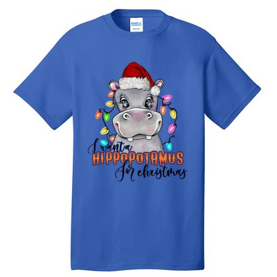 I Want A Hippopotamus For Christmas Funny Hippo Cute Gift Tall T-Shirt