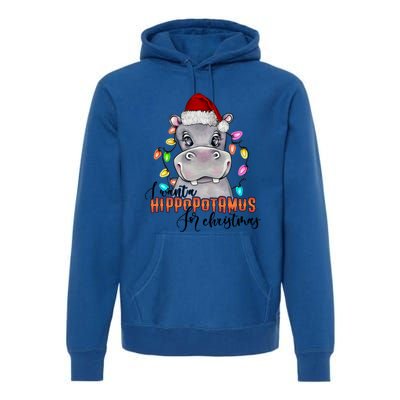 I Want A Hippopotamus For Christmas Funny Hippo Cute Gift Premium Hoodie