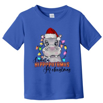 I Want A Hippopotamus For Christmas Funny Hippo Cute Gift Toddler T-Shirt