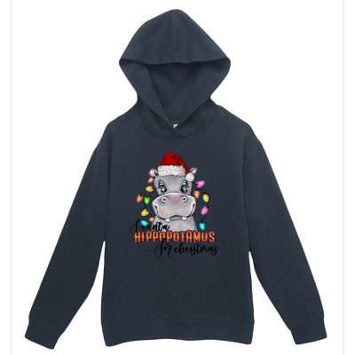 I Want A Hippopotamus For Christmas Funny Hippo Cute Gift Urban Pullover Hoodie