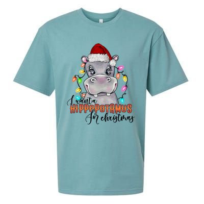 I Want A Hippopotamus For Christmas Funny Hippo Cute Gift Sueded Cloud Jersey T-Shirt