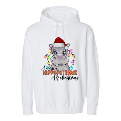 I Want A Hippopotamus For Christmas Funny Hippo Cute Gift Garment-Dyed Fleece Hoodie