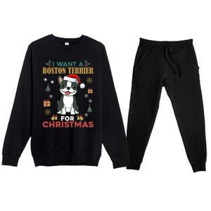 I Want A Boston Terrier For Christmas Cute Dog Lover Pajama Meaningful Gift Premium Crewneck Sweatsuit Set