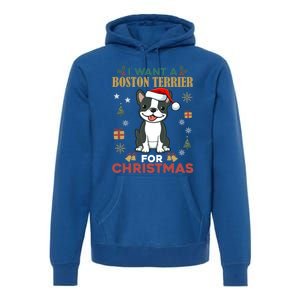 I Want A Boston Terrier For Christmas Cute Dog Lover Pajama Meaningful Gift Premium Hoodie