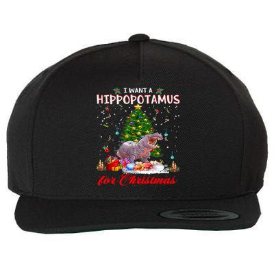 I Want A Hippopotamus For Christmas Xmas Hippo For Gift Wool Snapback Cap