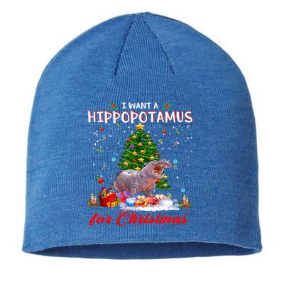 I Want A Hippopotamus For Christmas Xmas Hippo For Gift Sustainable Beanie