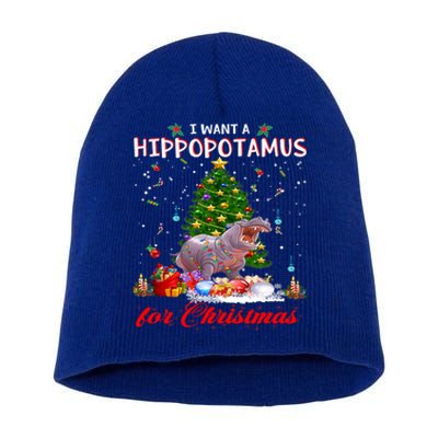 I Want A Hippopotamus For Christmas Xmas Hippo For Gift Short Acrylic Beanie